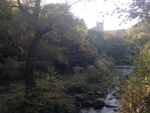 箱根天山湯治郷に行ってきました！