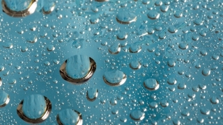 やってきたよ、湿気がね。