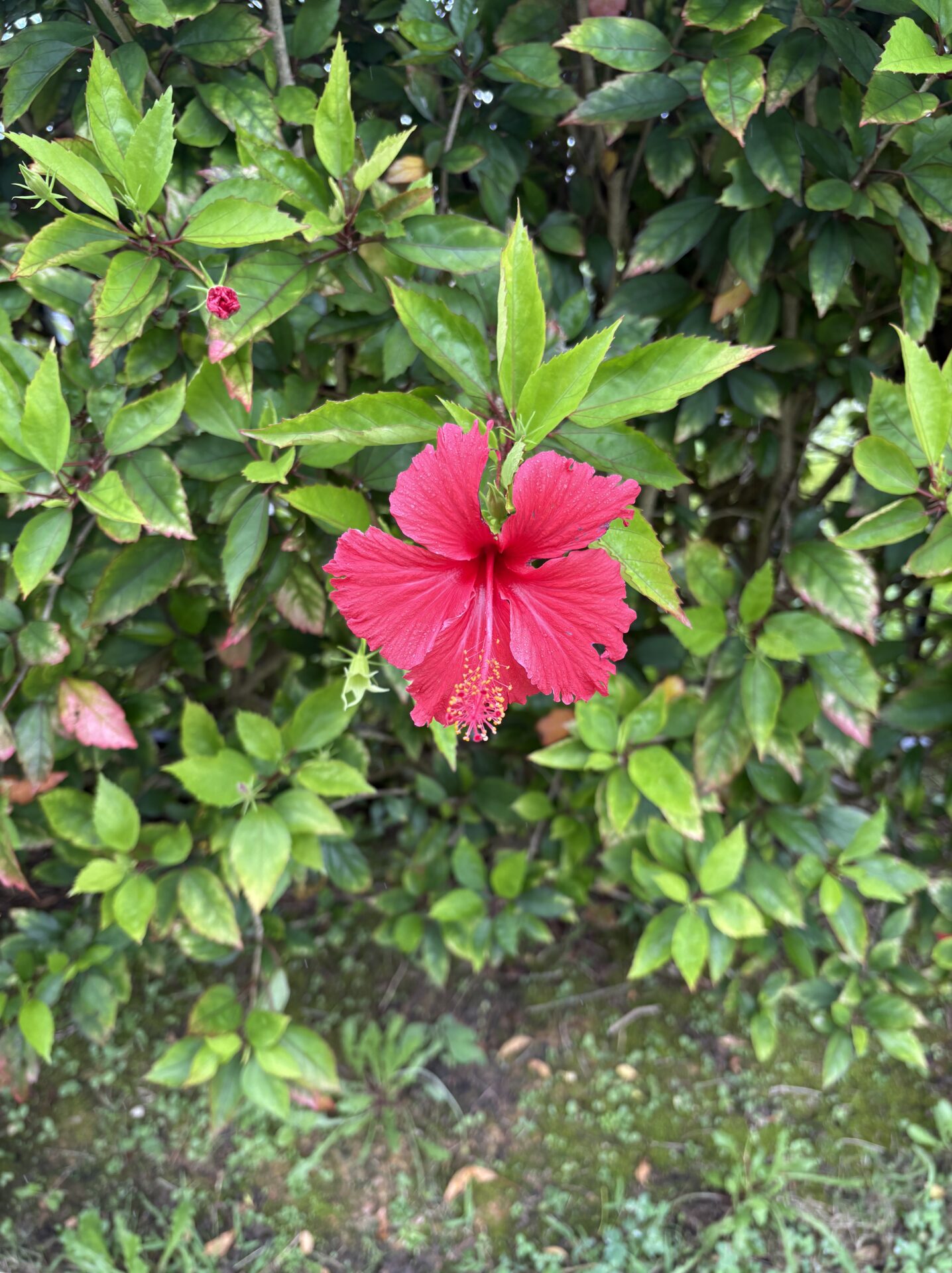 沖縄旅行