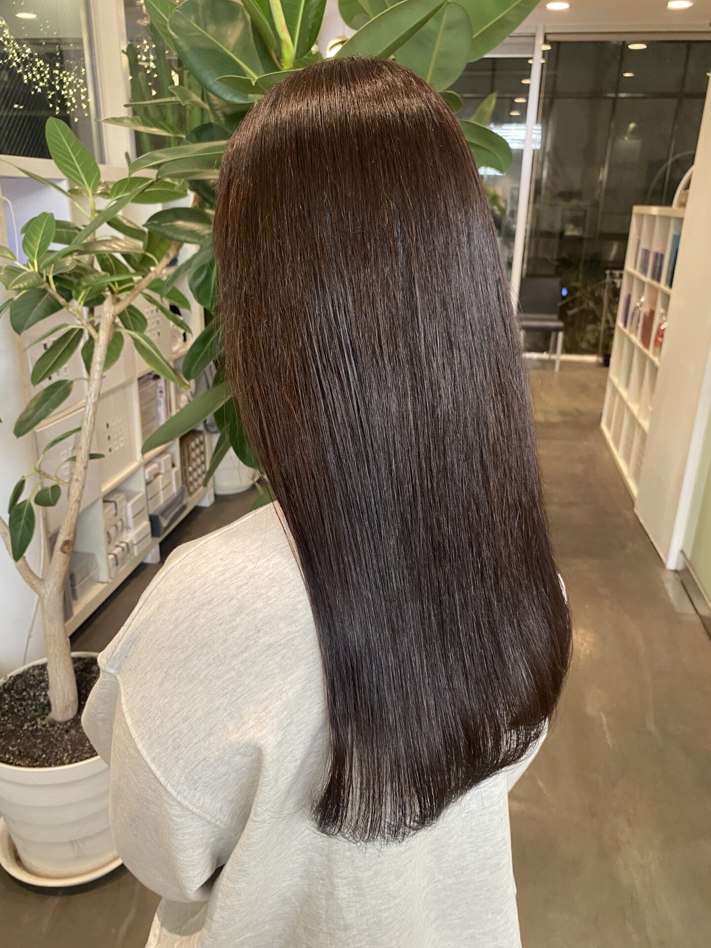 ボルドーブラウン