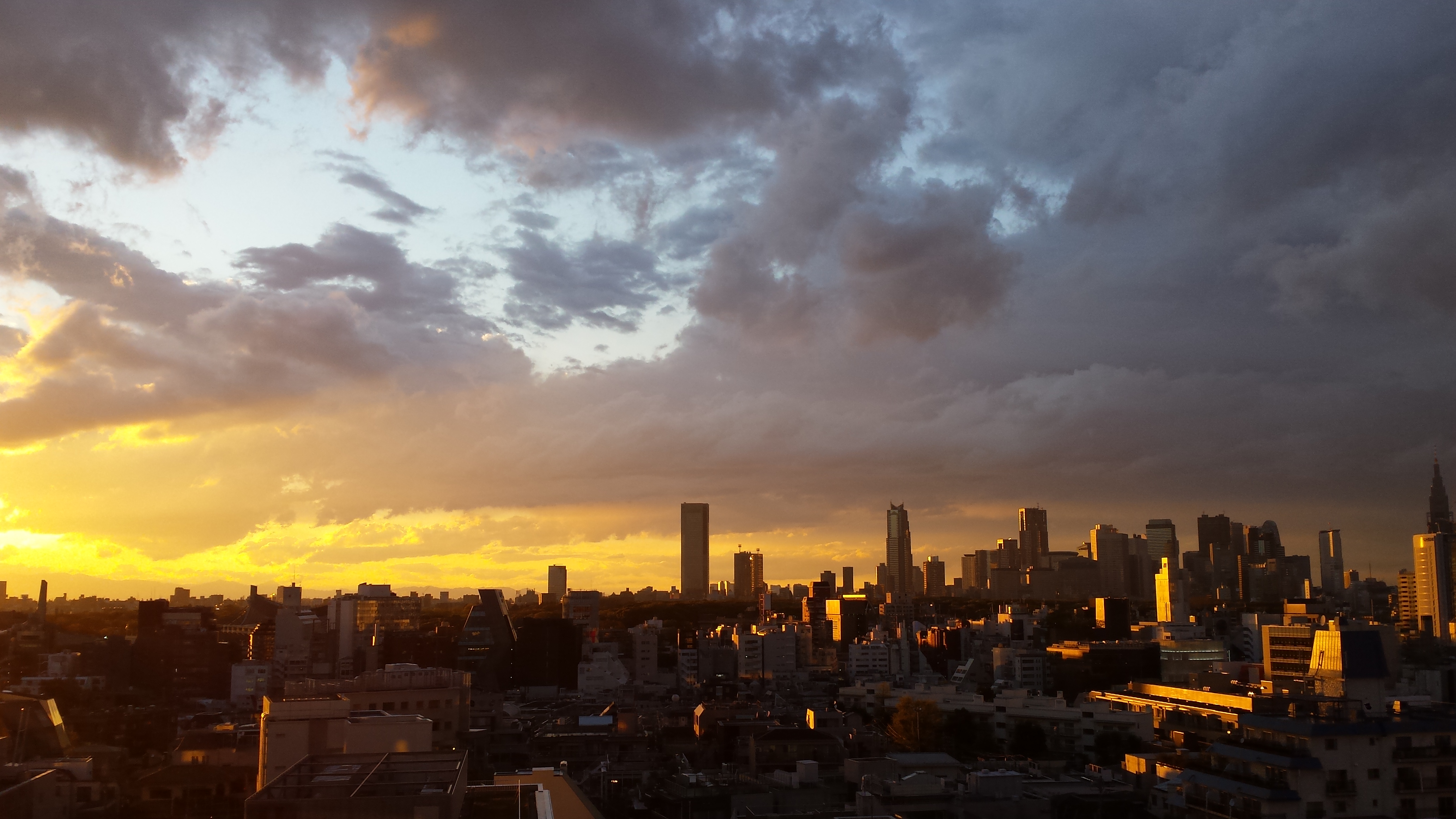 暖かくなってきました。