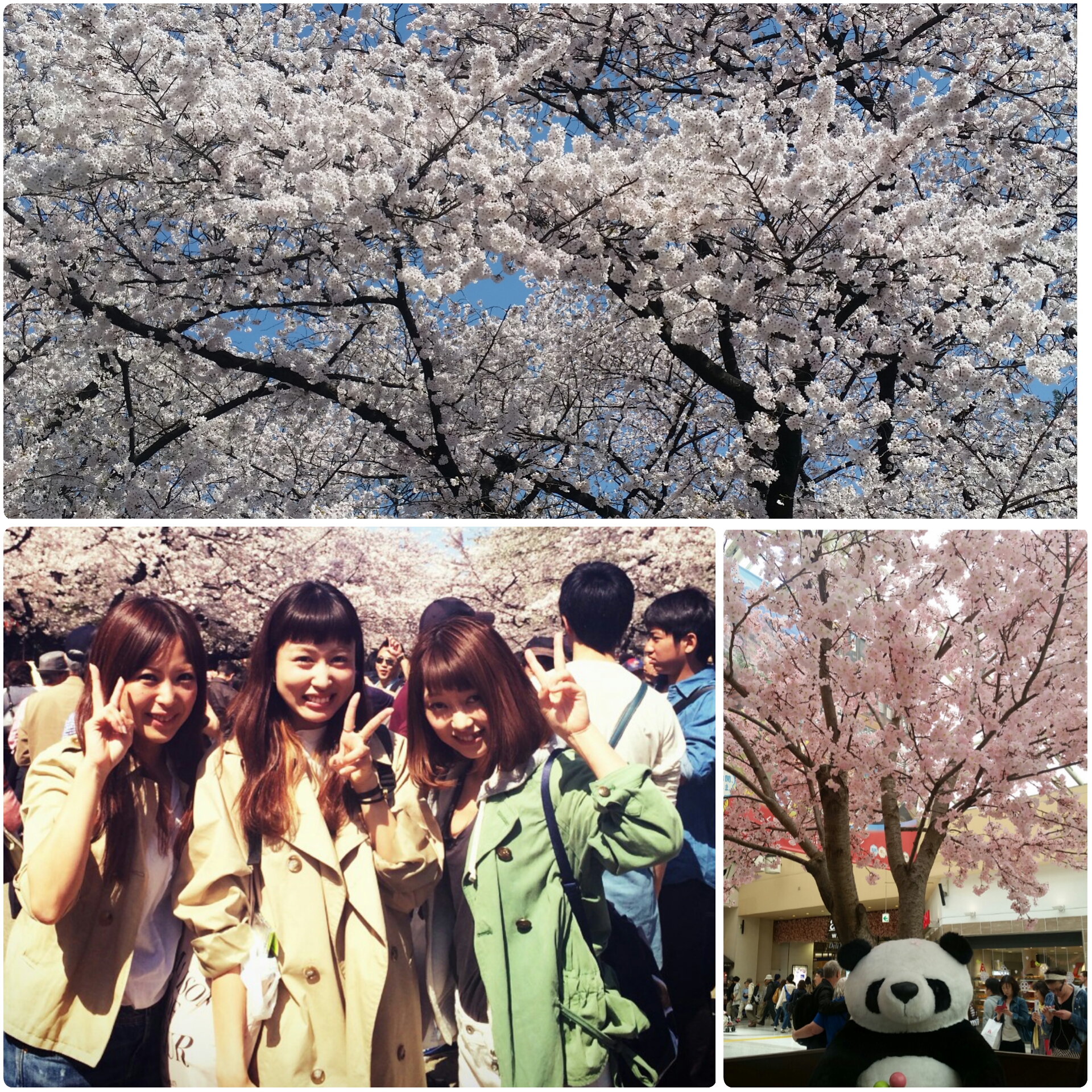 PhotoGrid_1427797236211