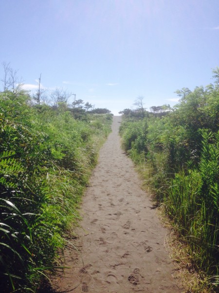 台風の影響で！