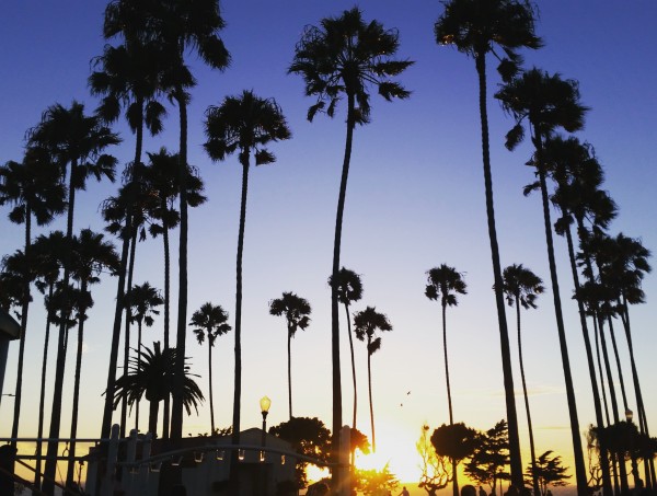 わたしの夏休み☆LA