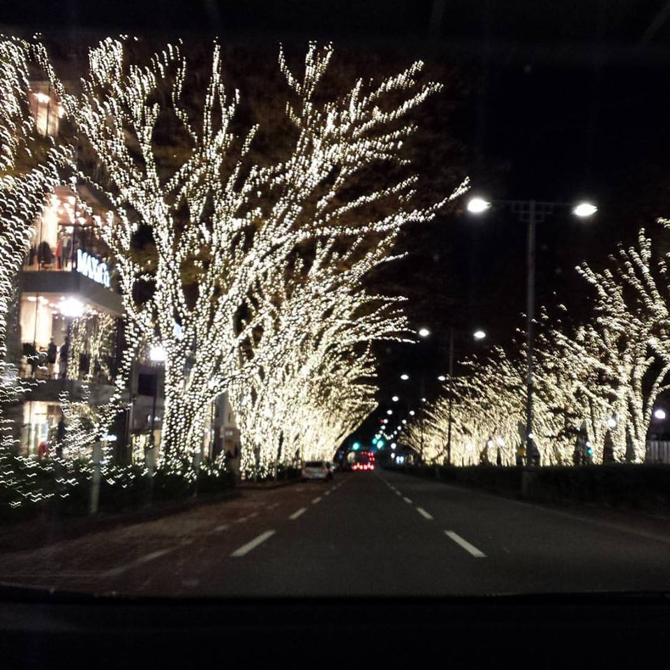 12345624_910712962338509_3325508913853401238_n (1)