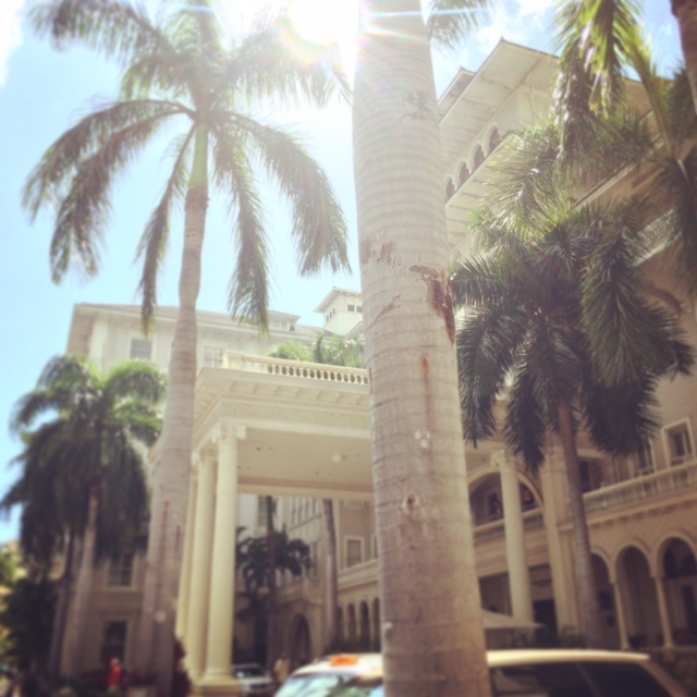 明日、１２／２９（火曜日）は営業してます☆