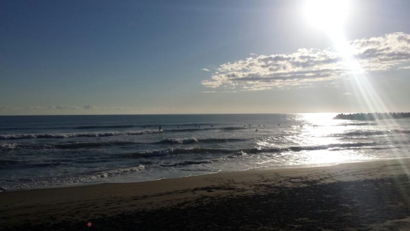 o0800045013521156061