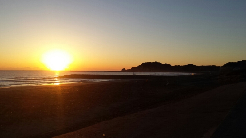 o0800045013521156064 (1)