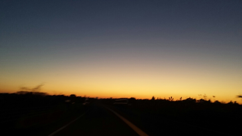 o0800045013521156068