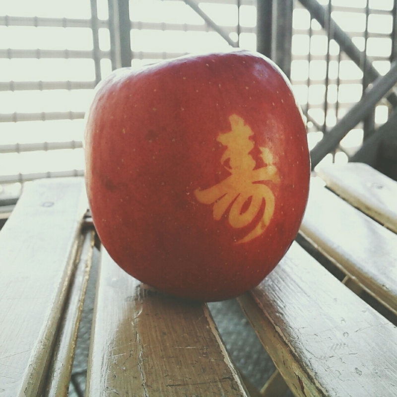 o0800080013506945900