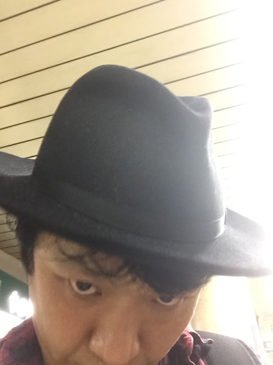 DIFINOの違い。その2カット