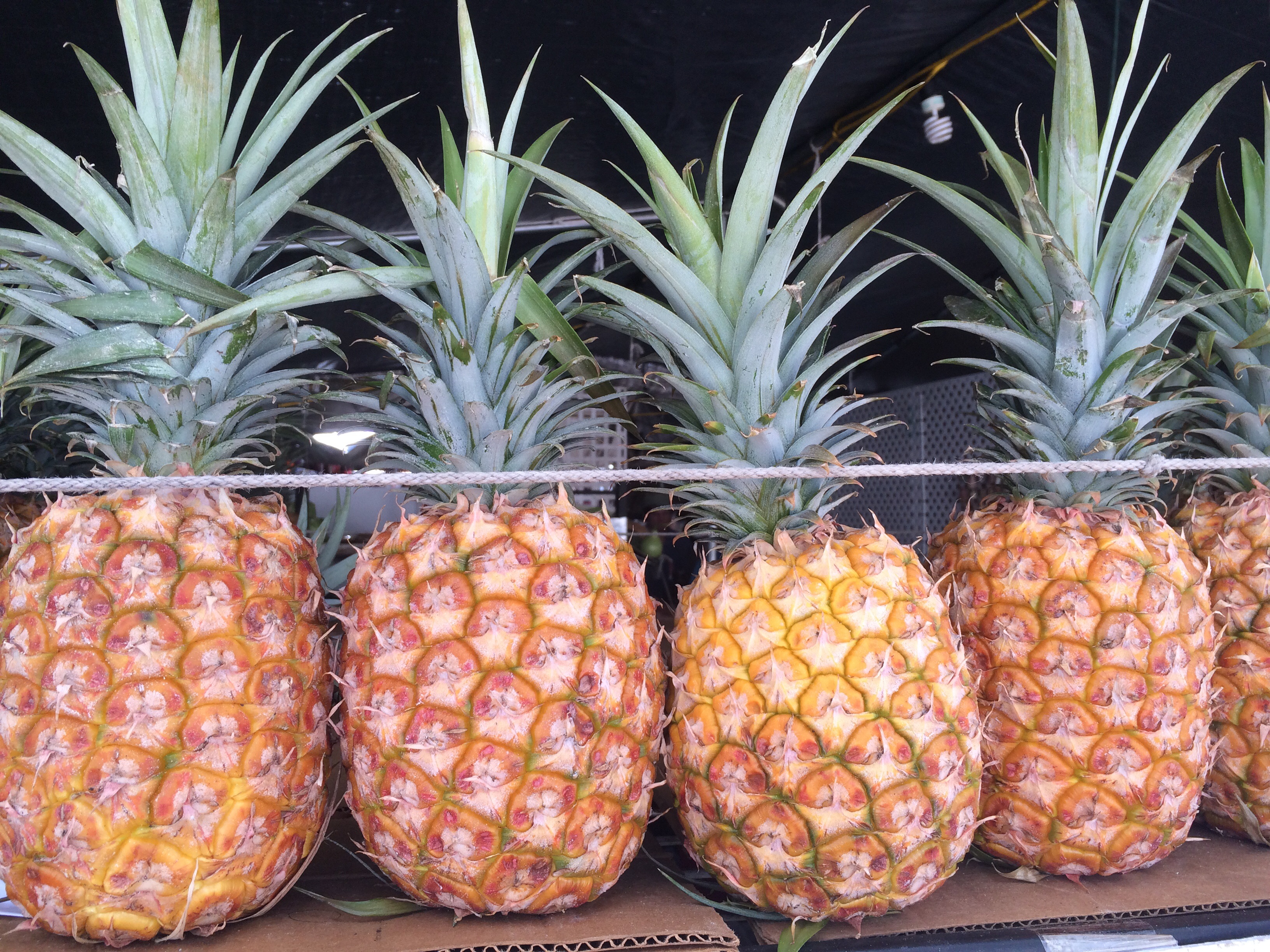 お休みありがとうございました