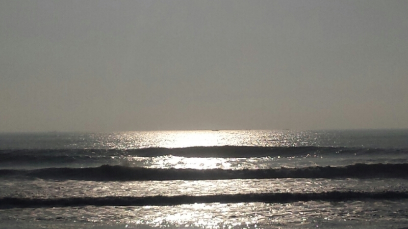 o0800045013607193914