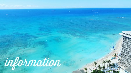 スタイリストが増えました！！