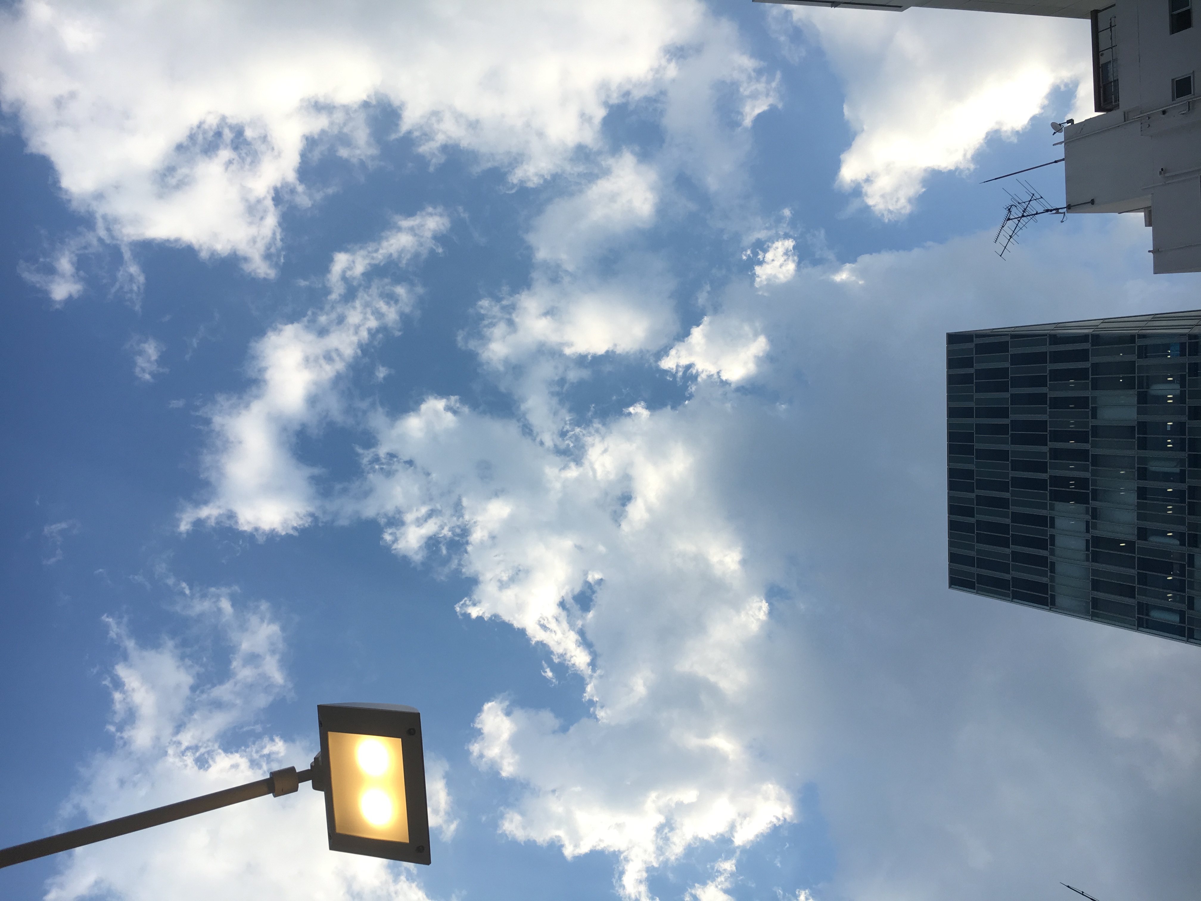 夏には動きのあるカラー