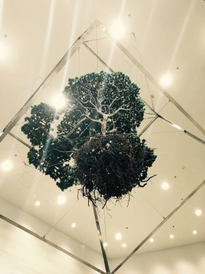 バーニーズ ニューヨーク六本木店