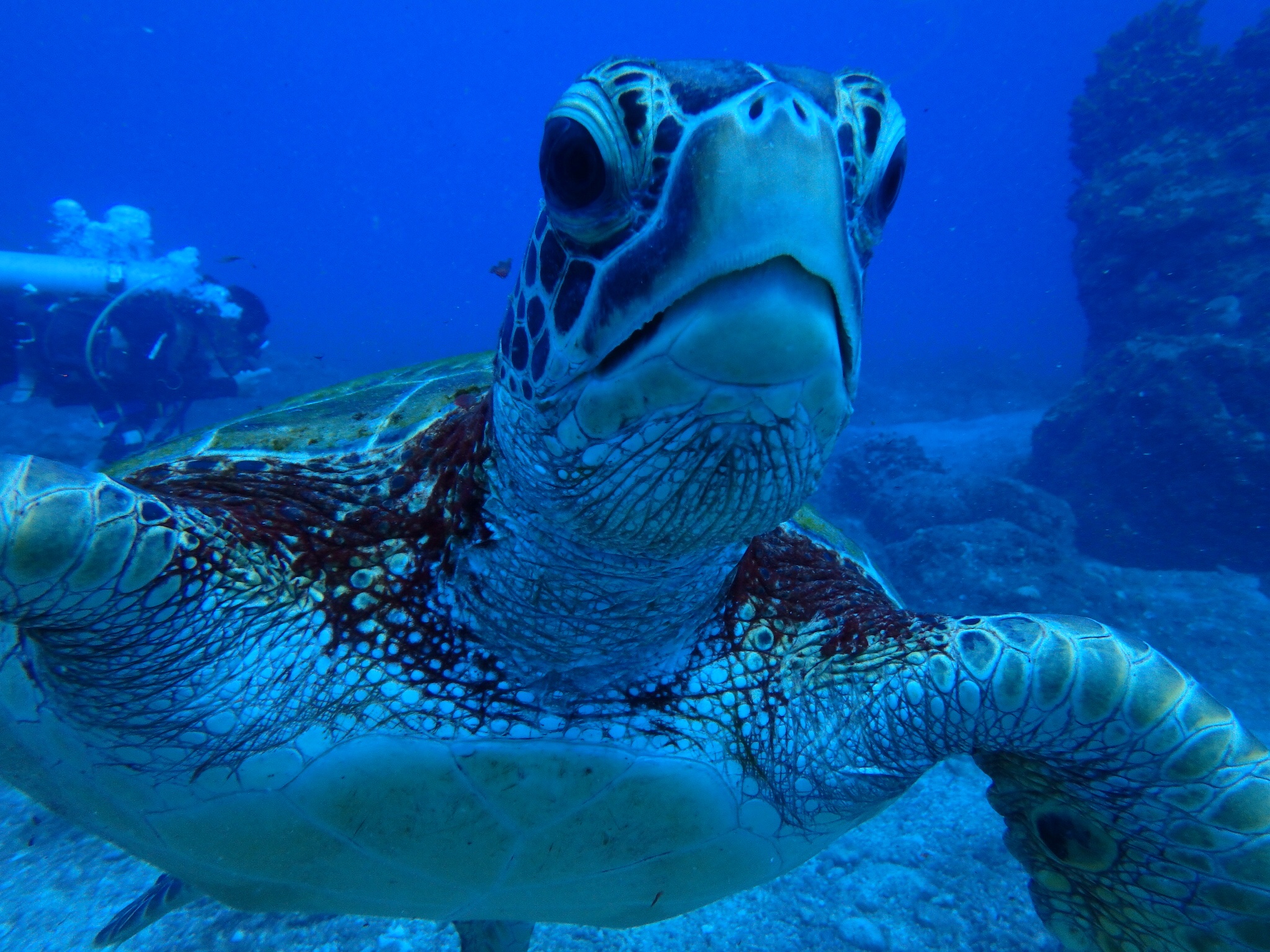 OLYMPUS DIGITAL CAMERA