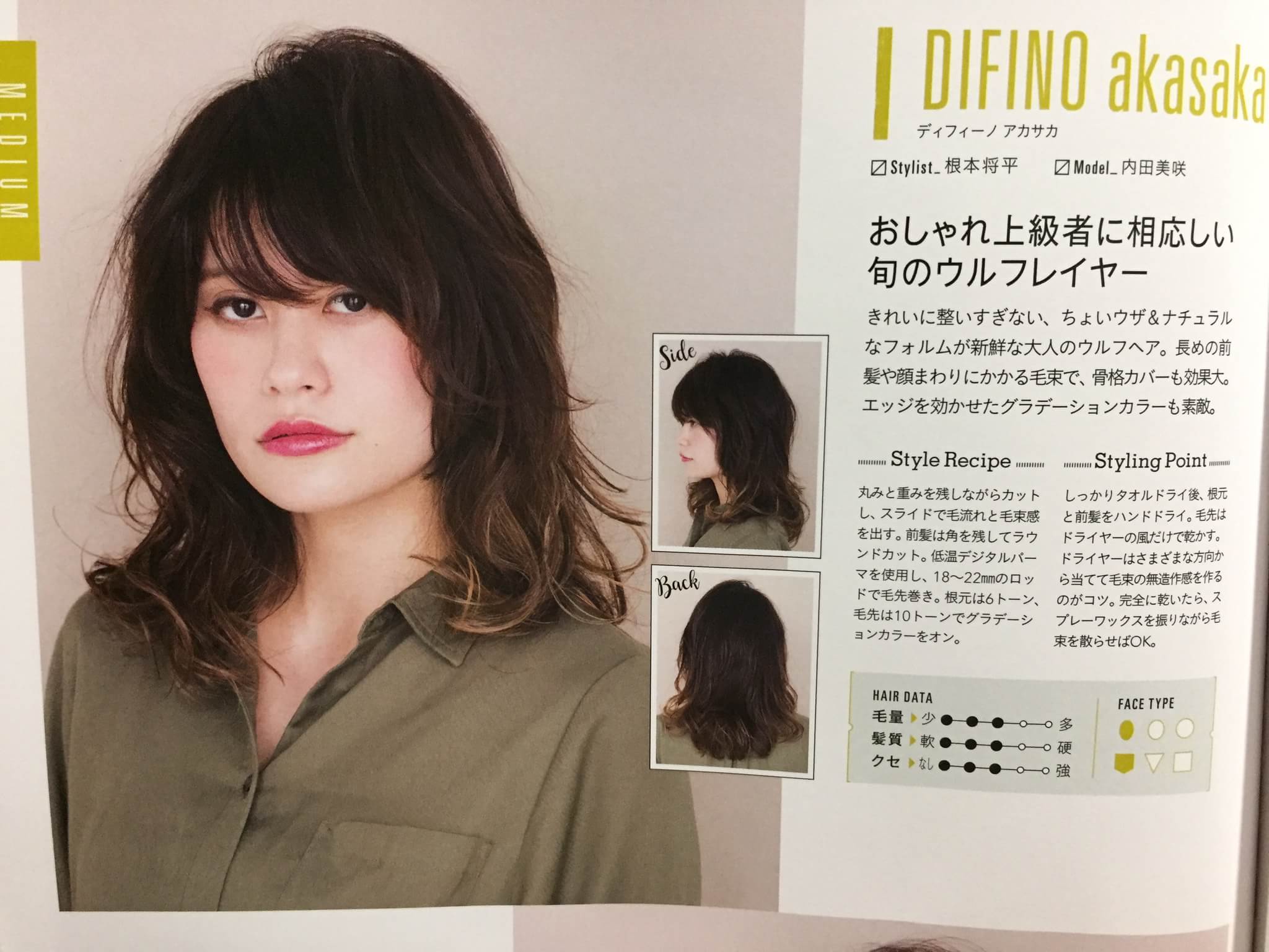 InRed特別編集 おしゃれヘアカタログ 2017
