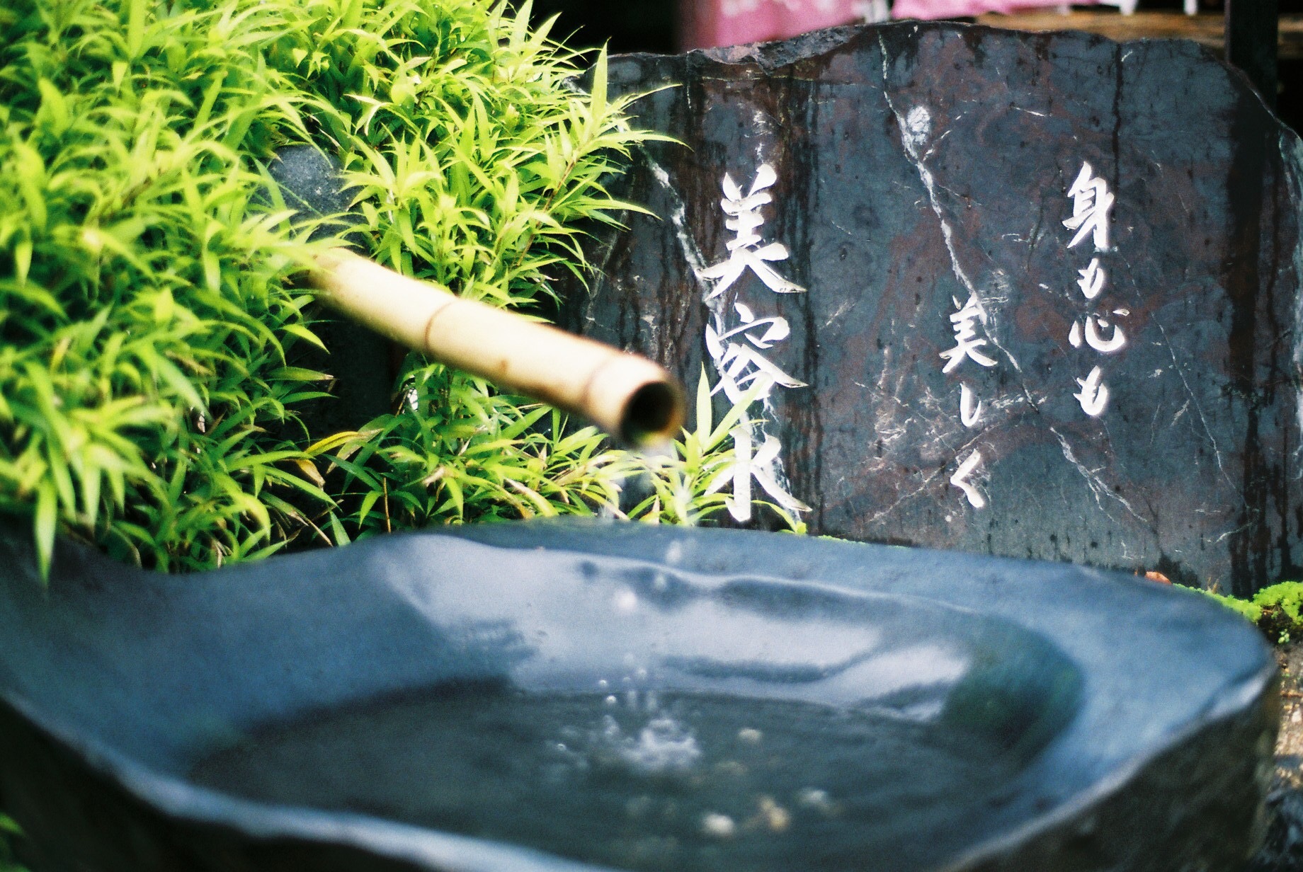 冬の乾燥地肌に☆