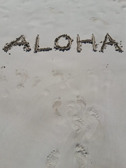 社員研修のお知らせ