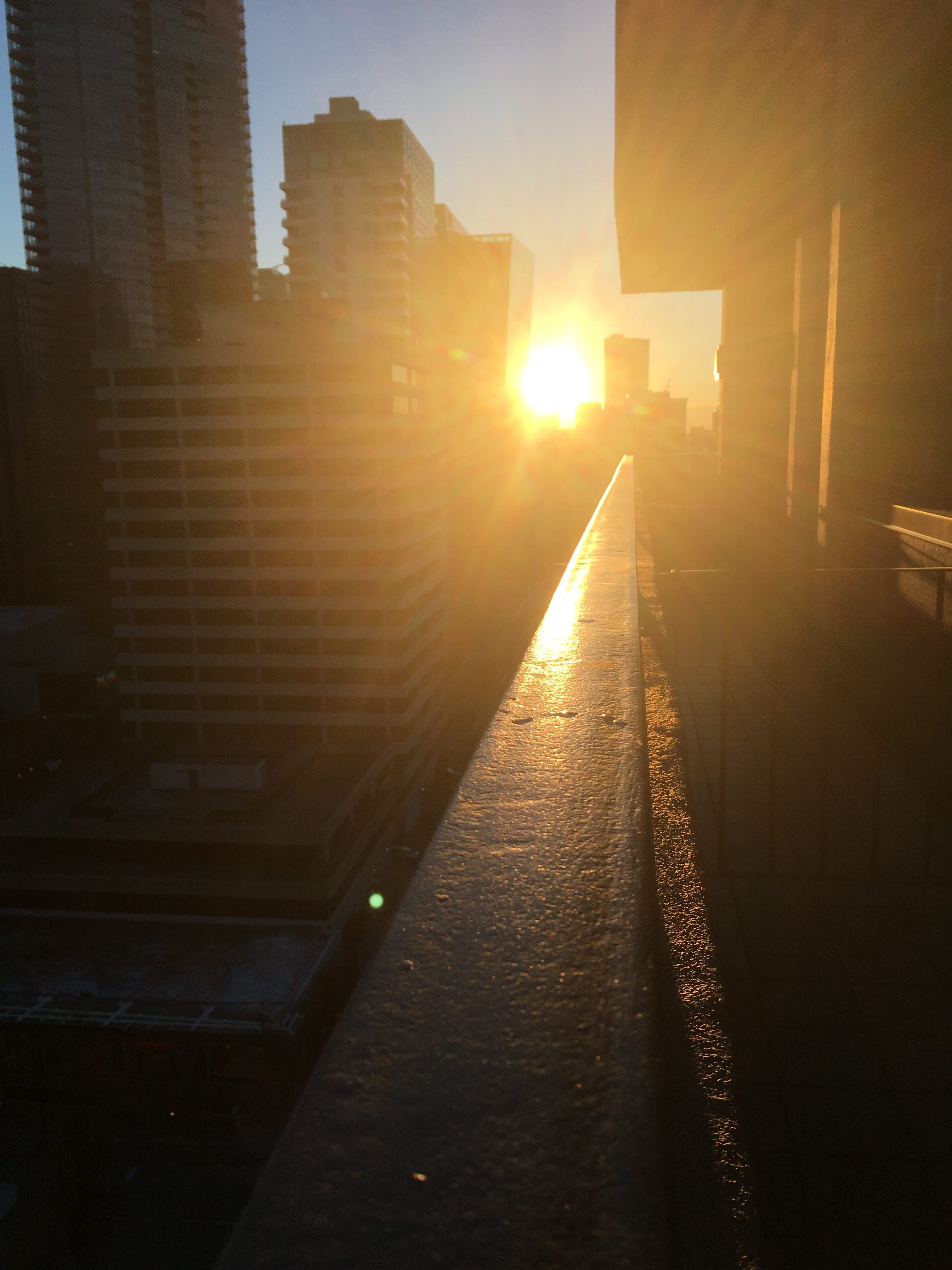 2017　DIFINOスタートです。