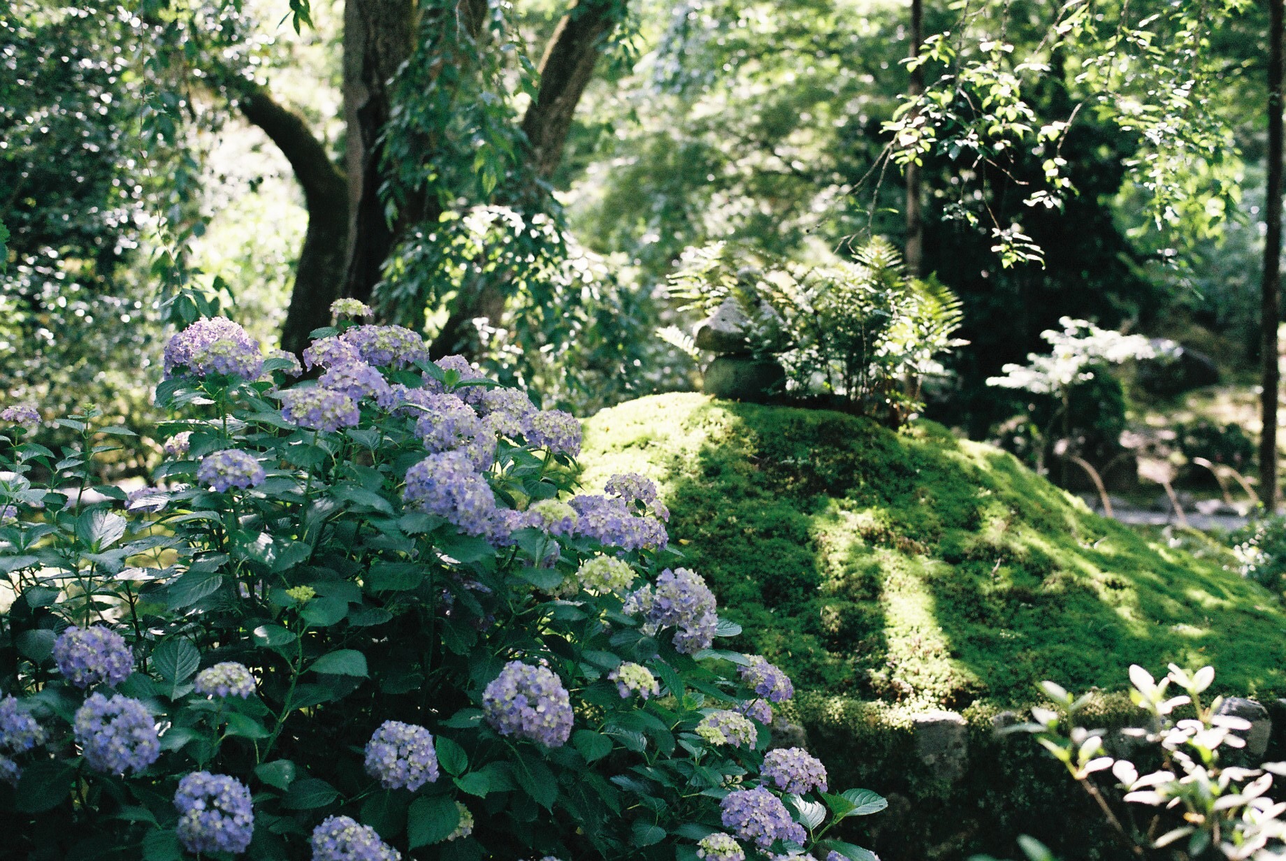 春のオススメカラー🌸