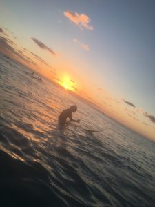 土橋からのお知らせ