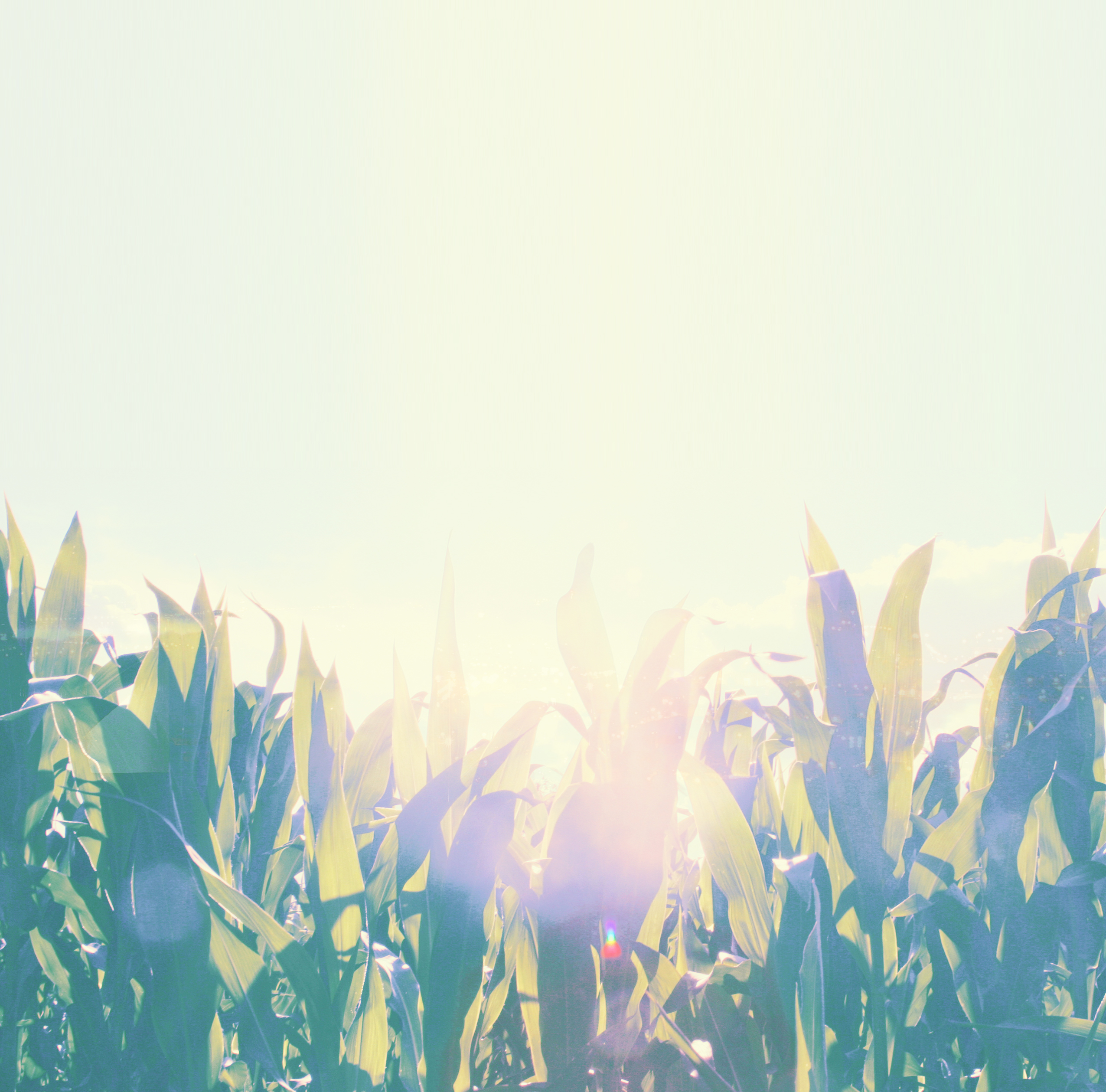 山口の長期休みのお知らせ！！