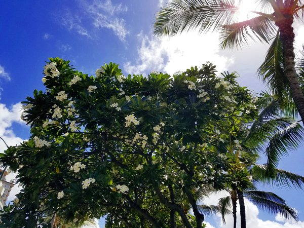 DIFINO青山店　スタイリストスケジュール