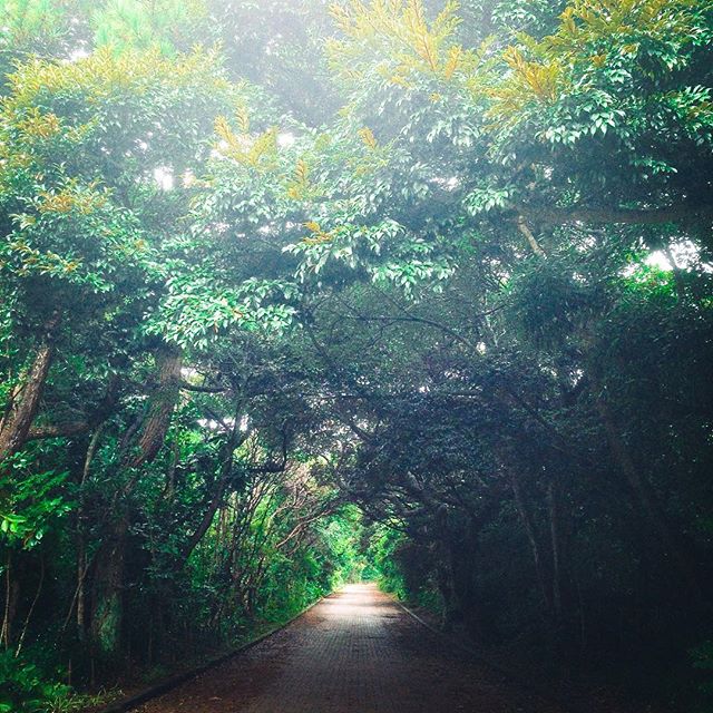 夏休みありがとうございました！ボクナツ。よかったら読んでください。