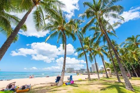 DIFINO赤坂 竹見慎也 〜夏休みのお知らせ〜