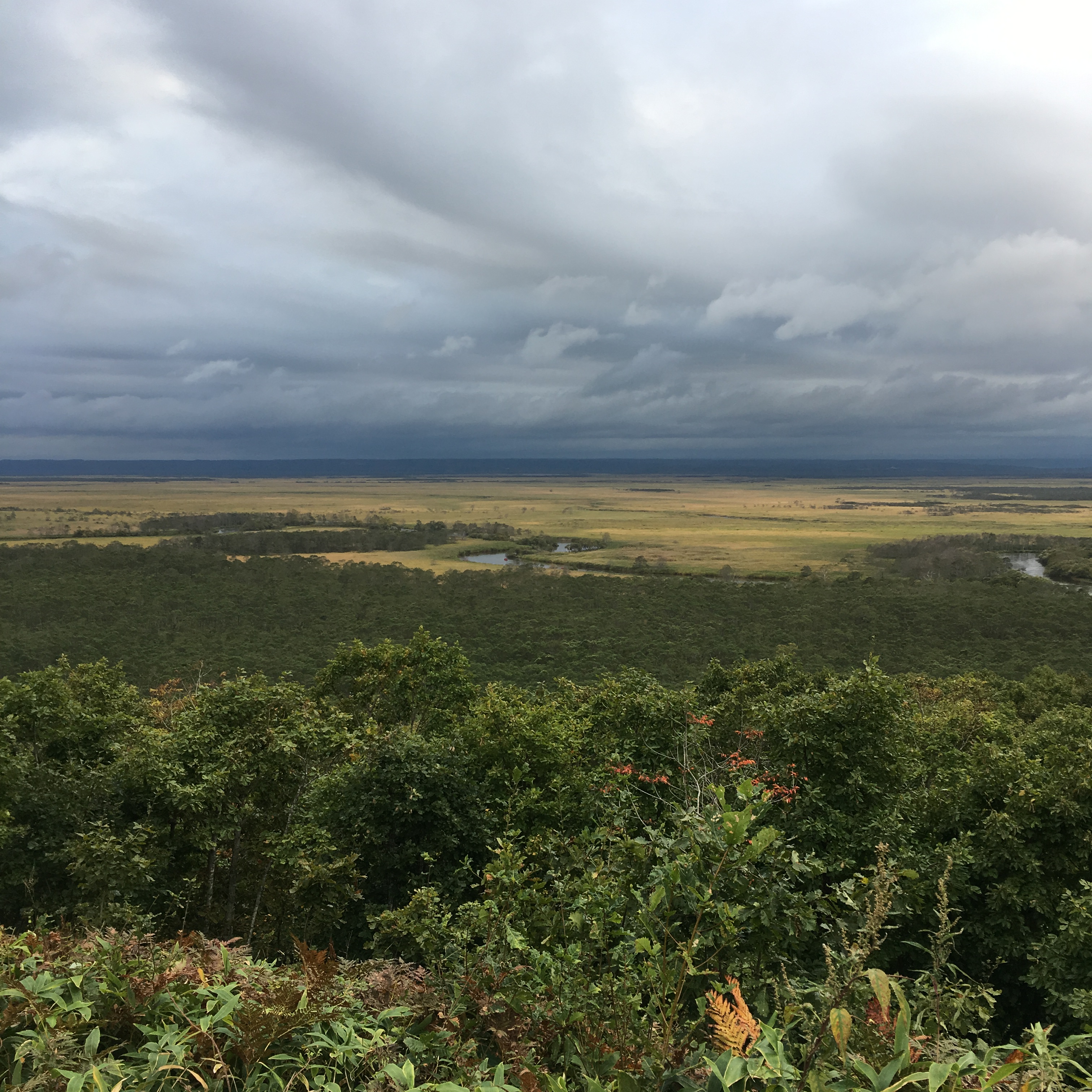 夏休みいただきました