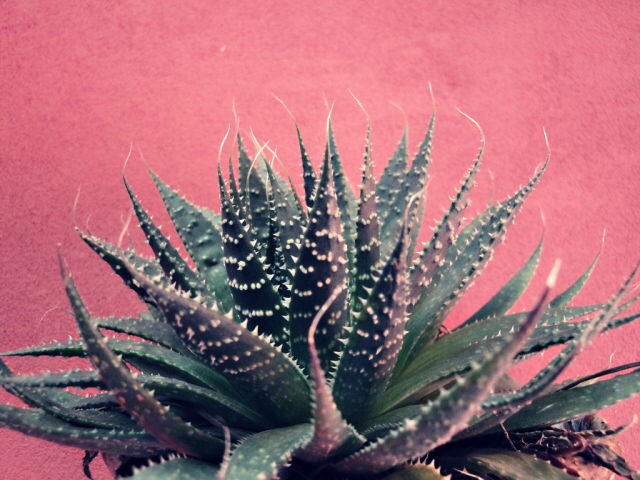 長期休暇のご連絡