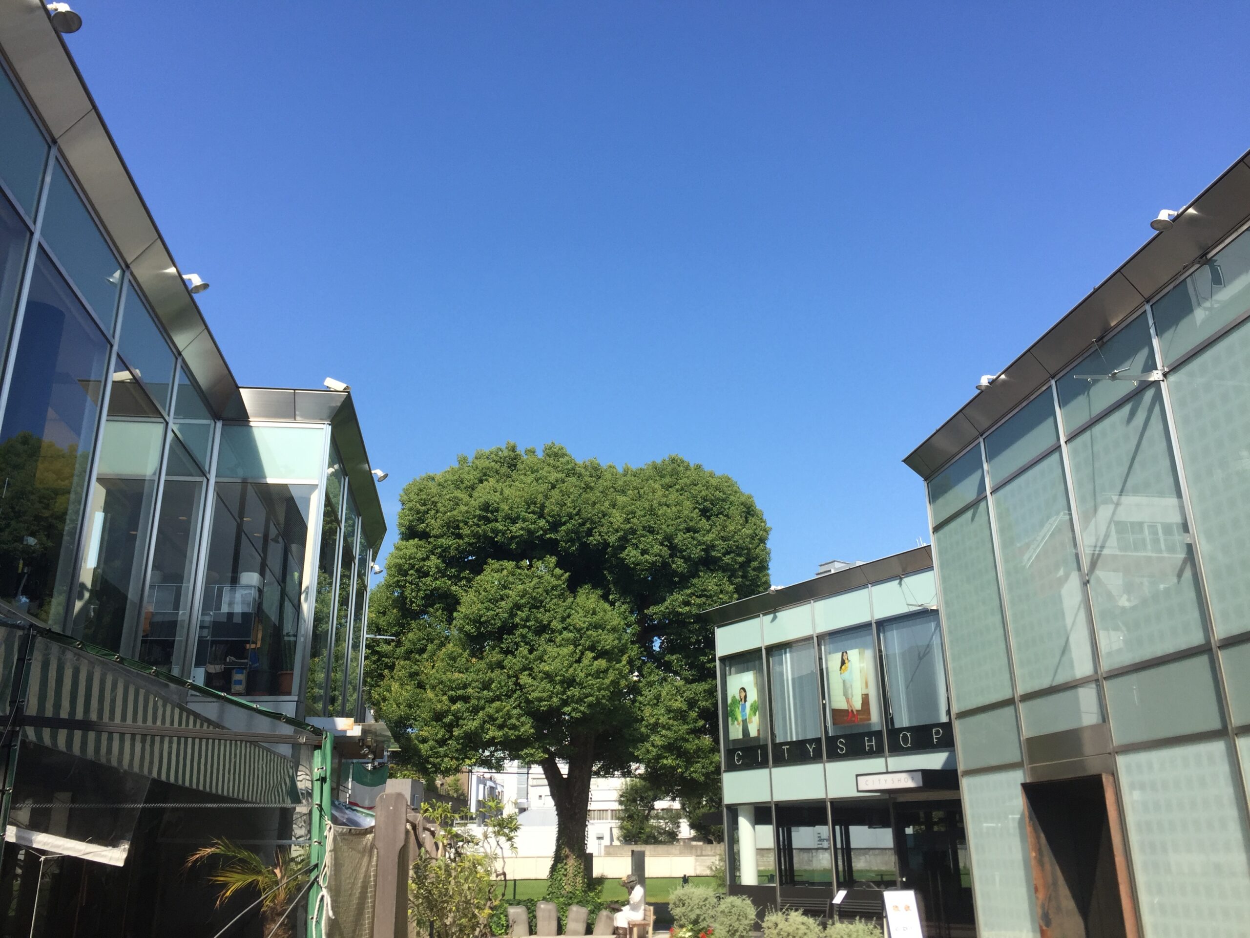 新Aujua導入の瞬間。。。