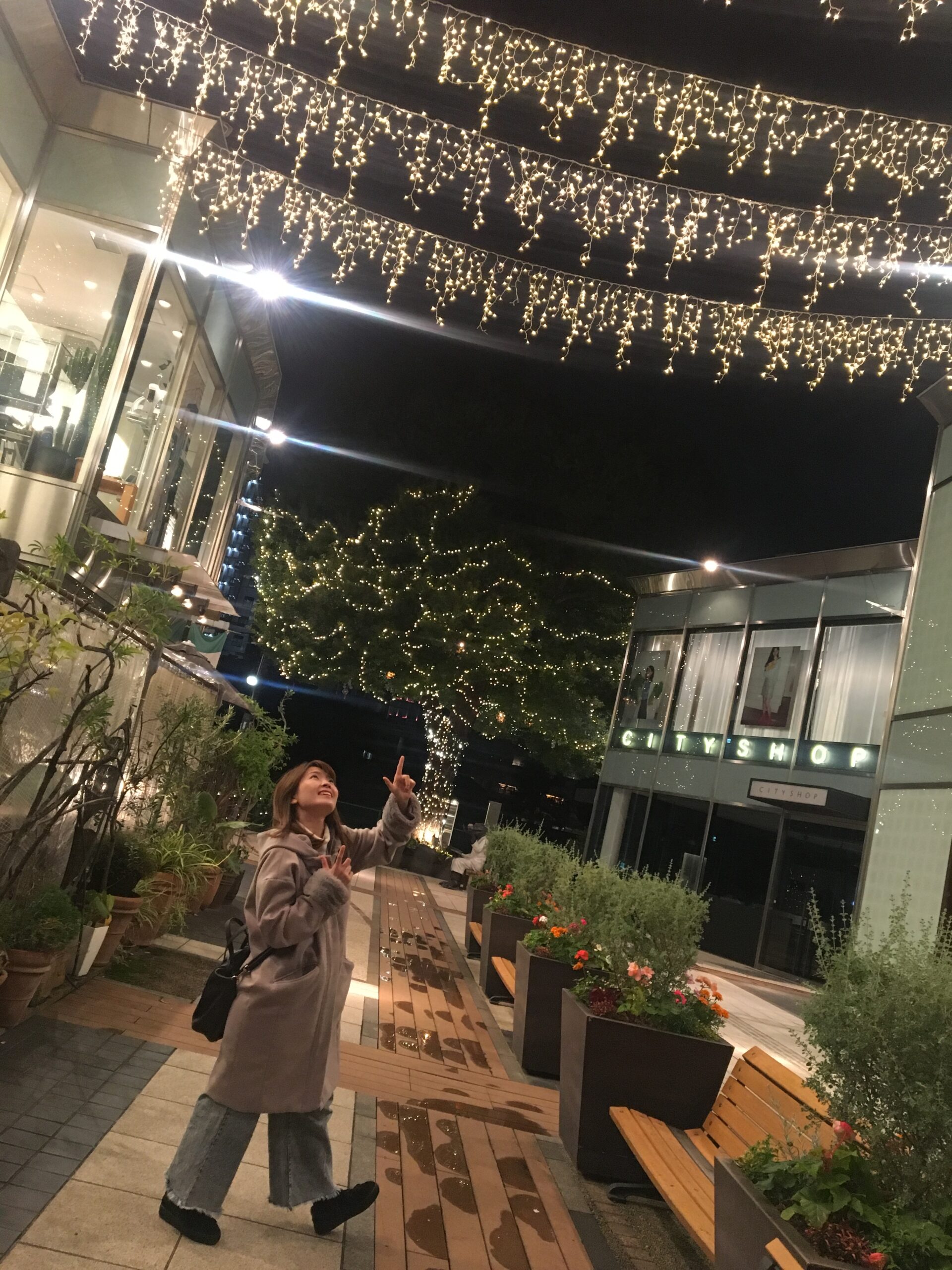 イルミネーション始めました🎄