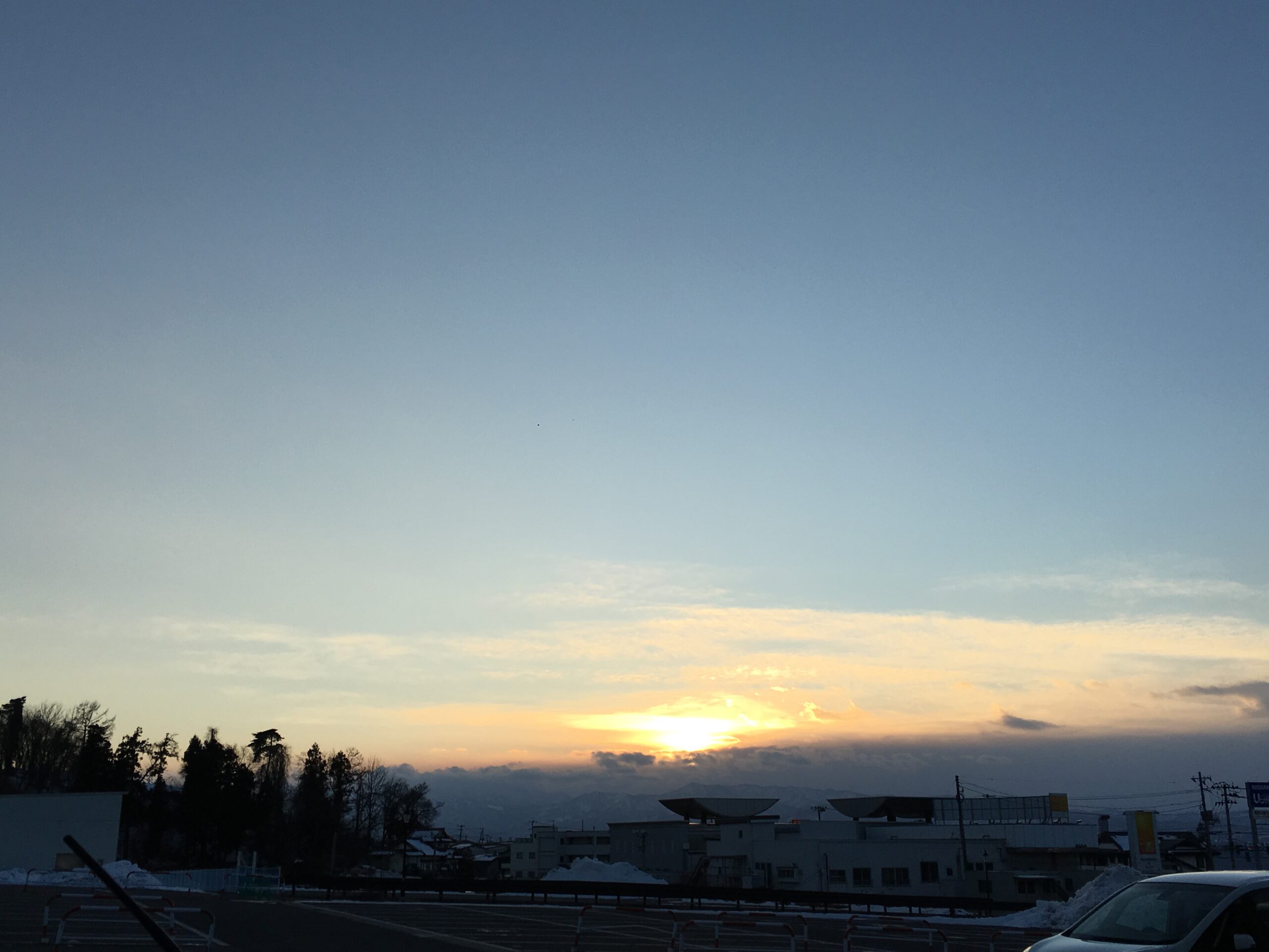 わたしの冬休み✈️