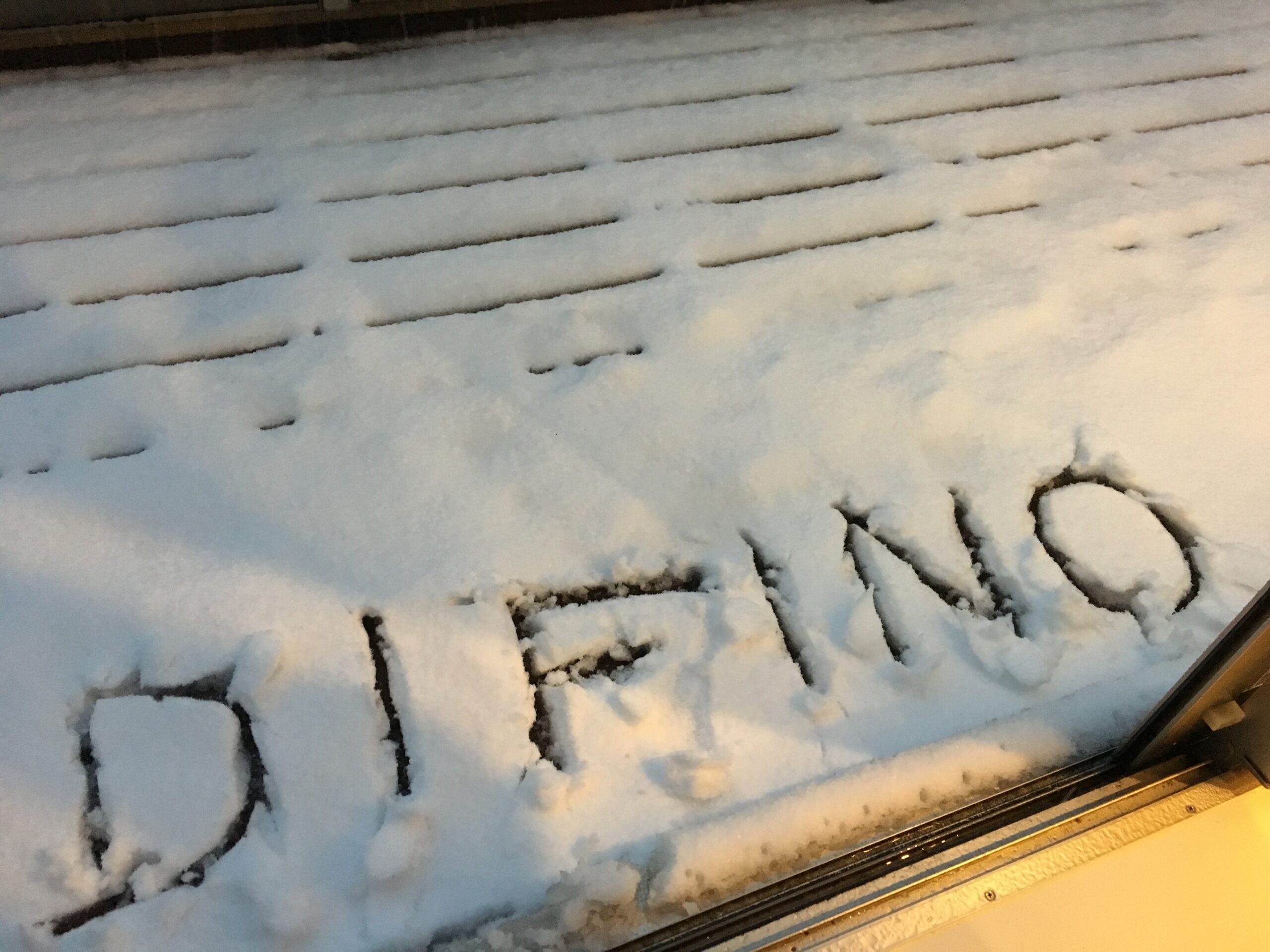 DIFINOトレンド📸