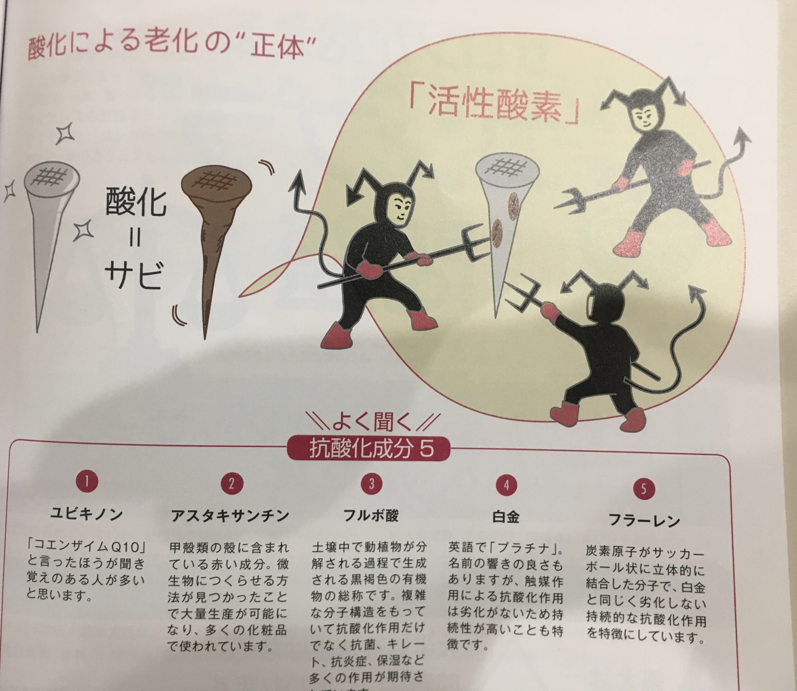 酸化による老化の”正体”