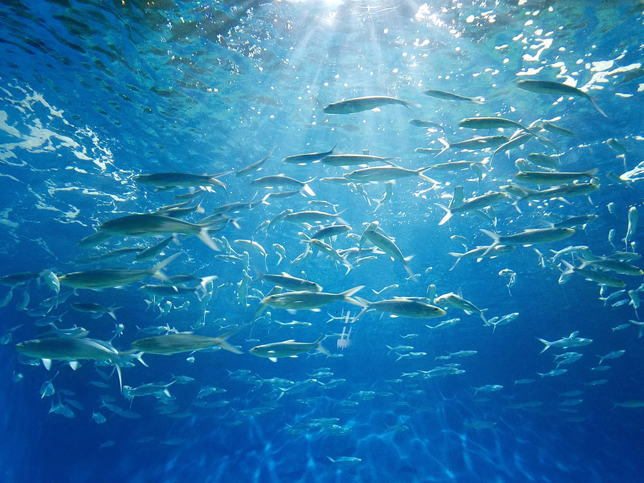 DIFINO青山店　3月スタイリストスケジュール