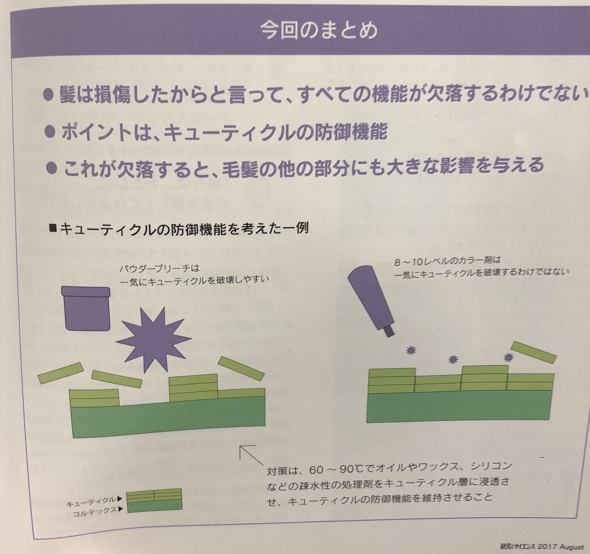 キューティクルの機能