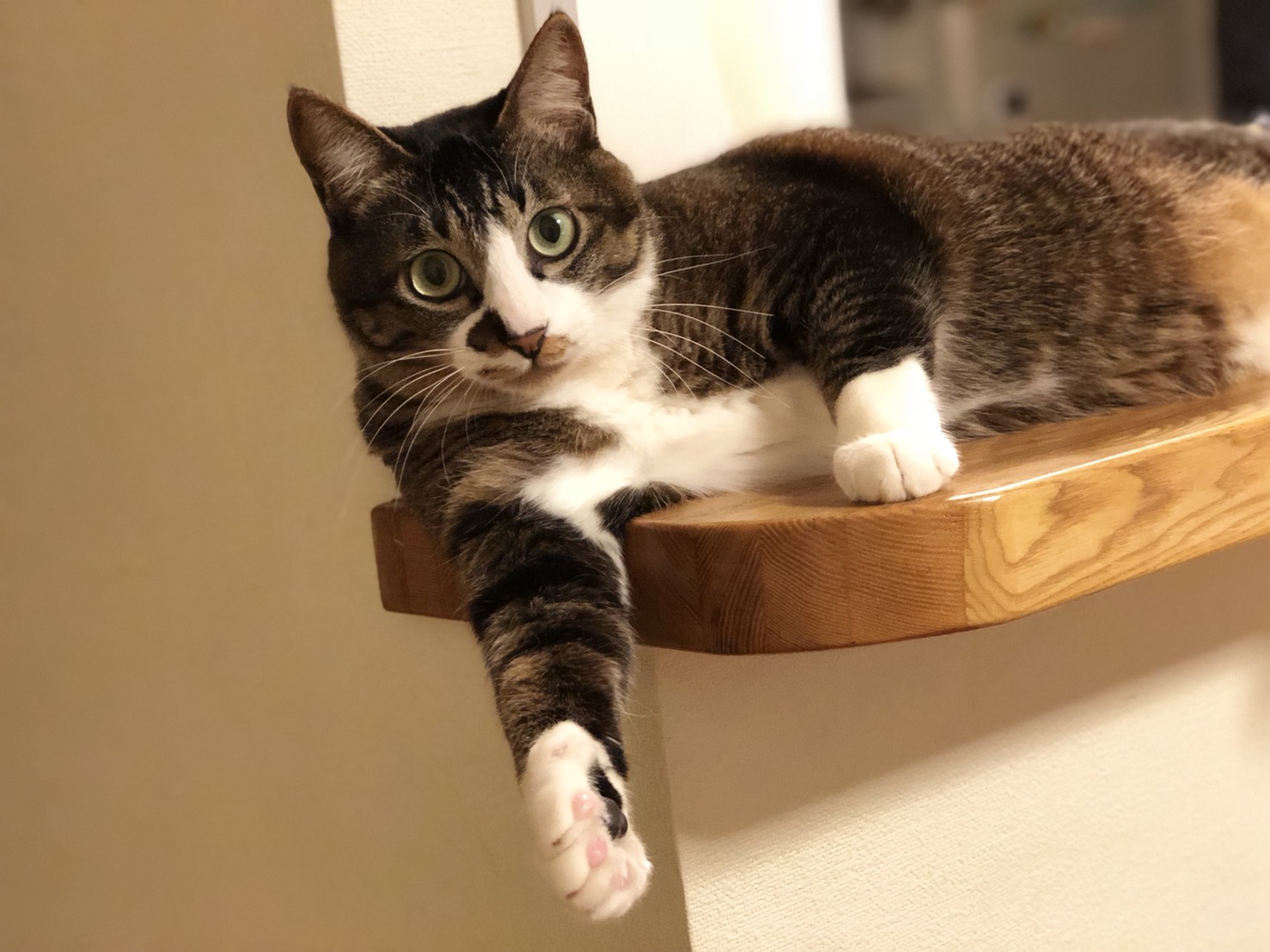 アシスタント2年目 重久 hair color