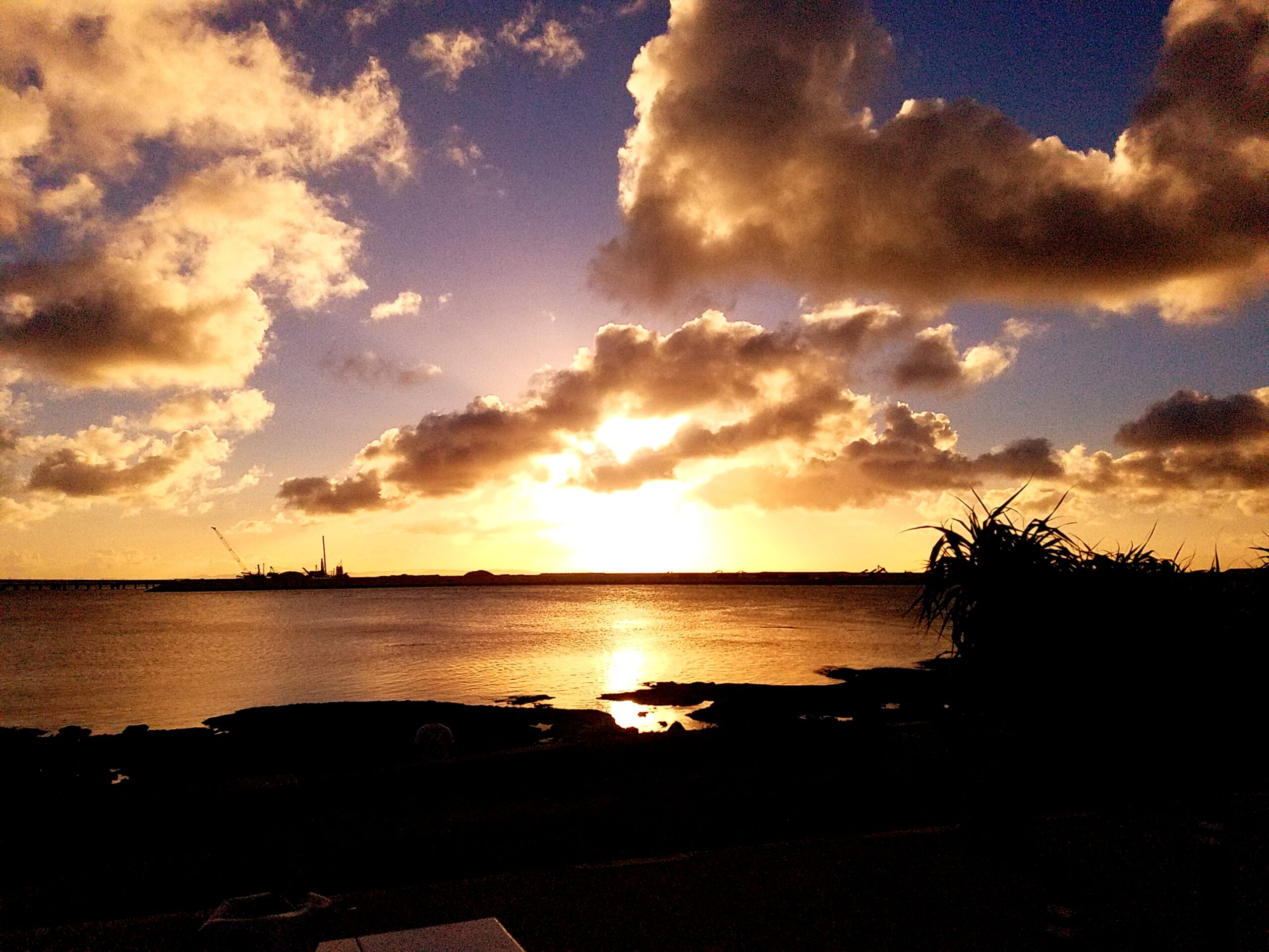 夏休みのお知らせ