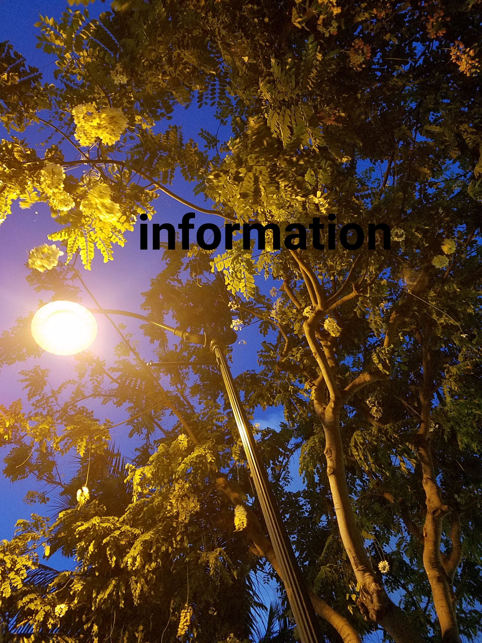 本日ご予約のお客様へ