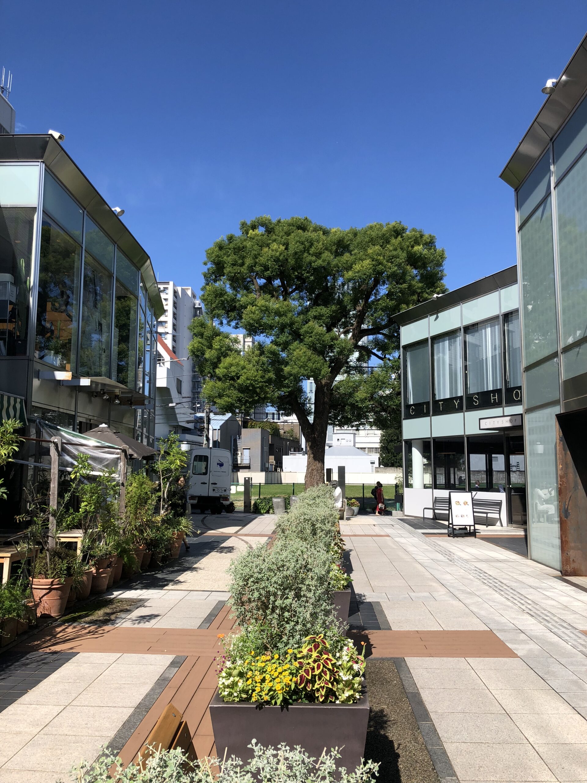 お店で扱っているAujuaの事で伝えたいことが・・・