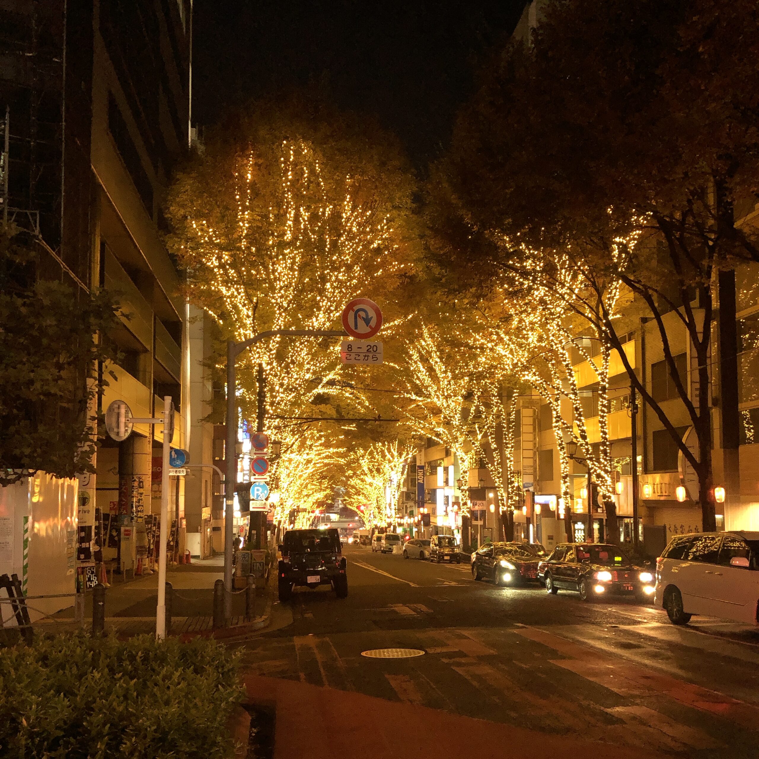 秋冬を体で感じる