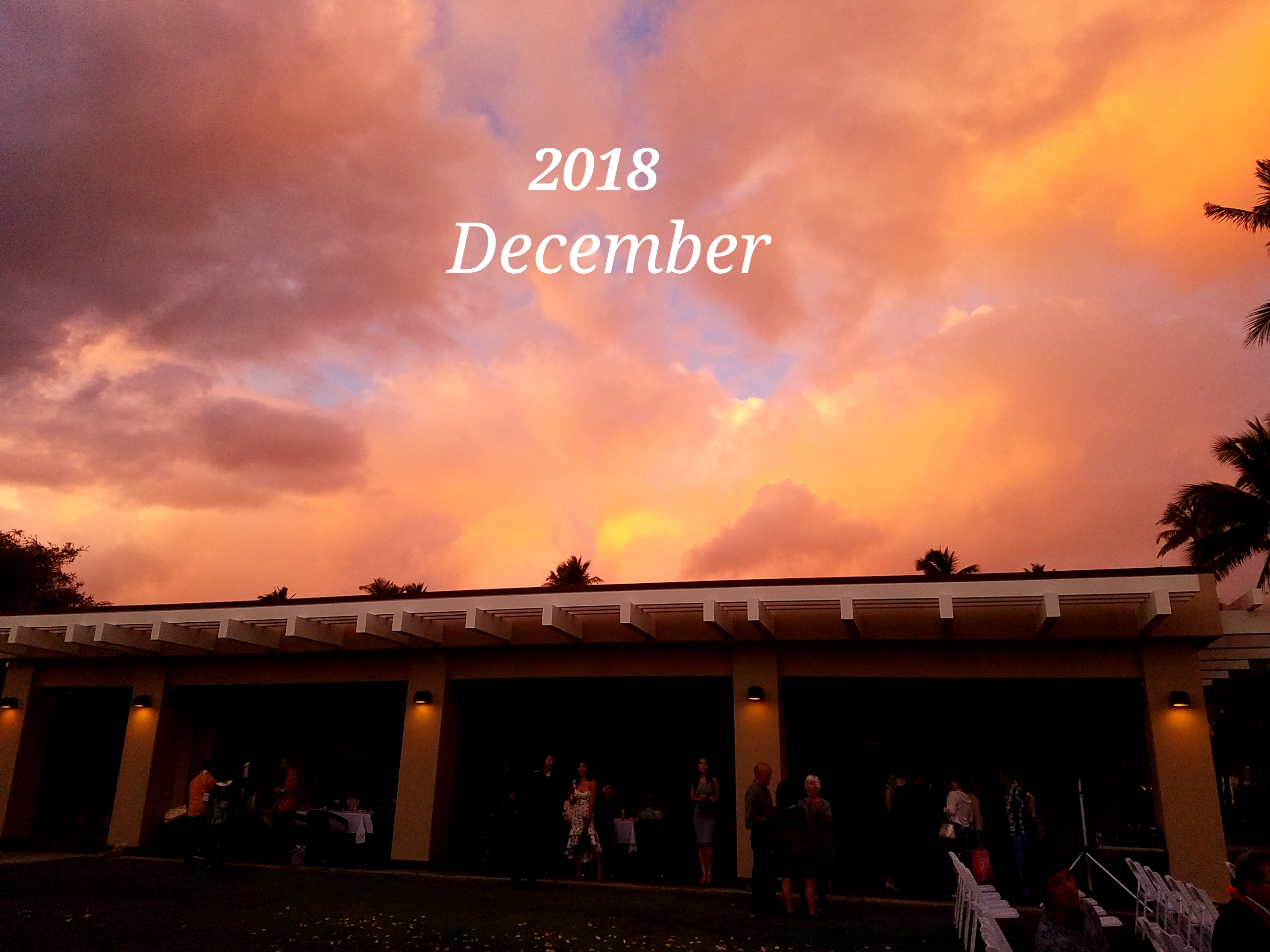 12月の混雑状況