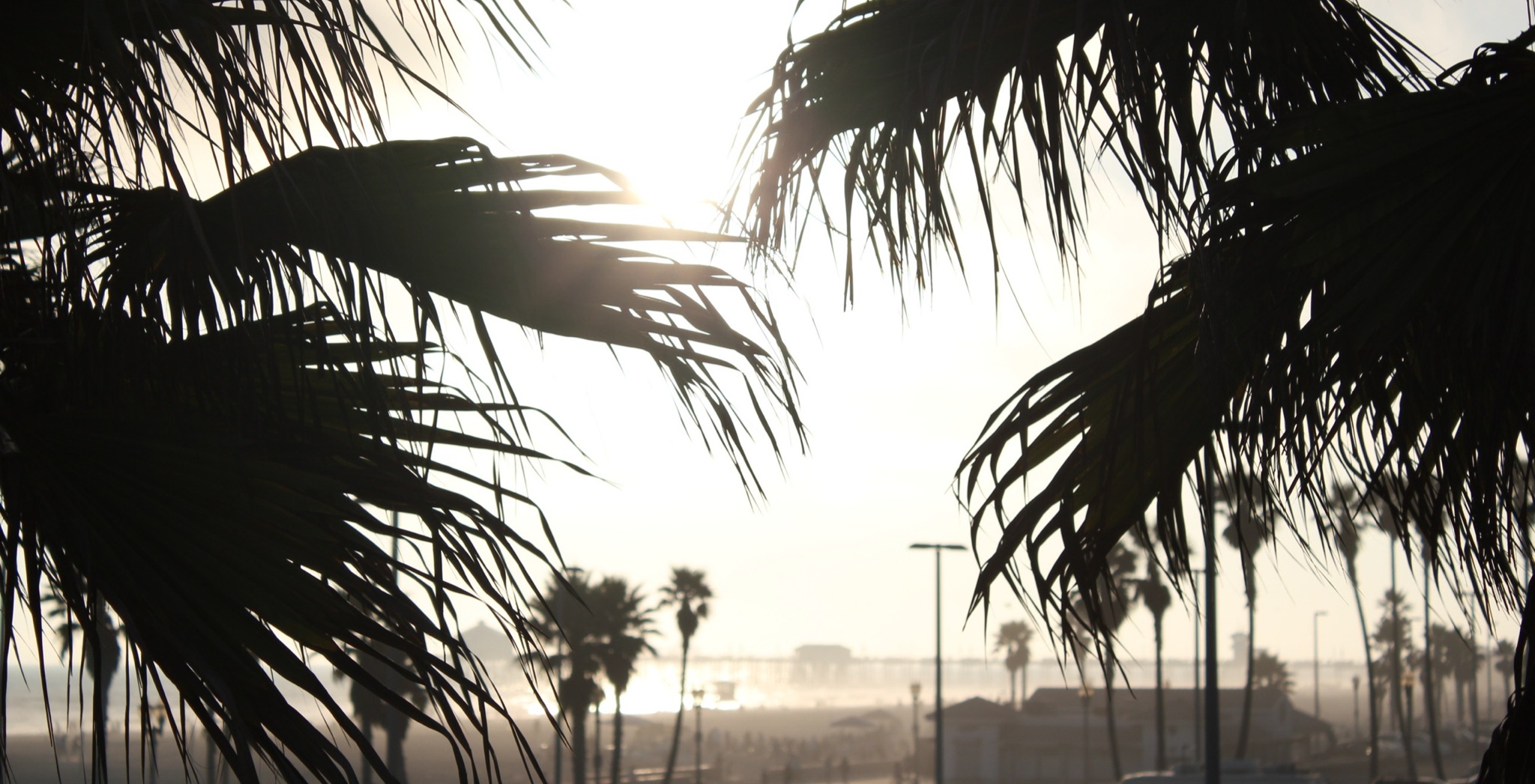 ただいま山口祐亮は、LA出張中です♪