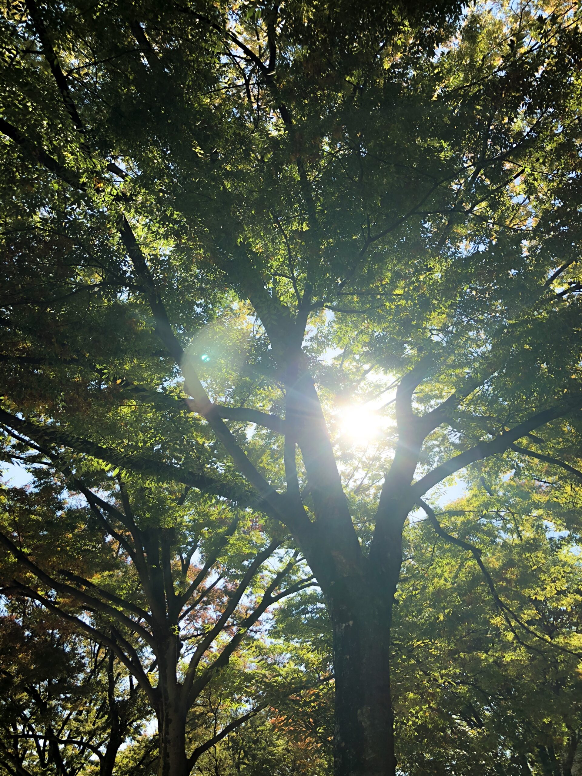 須藤健一 ラストブログ