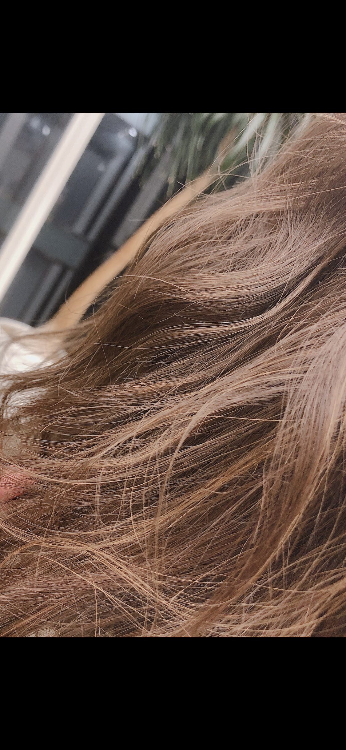 夏色ハイライト