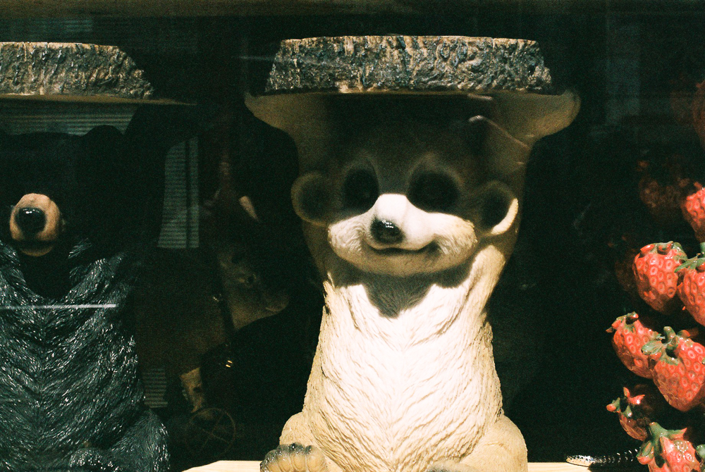 美容師とカメラと出会い